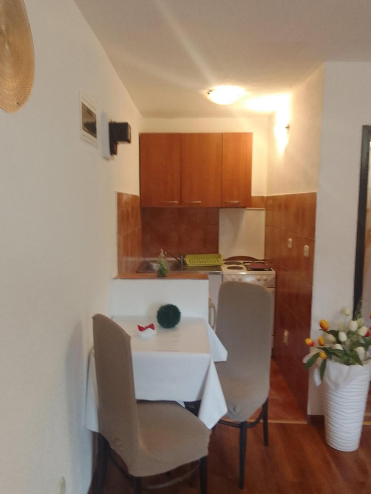 Sapienti Sat Apartament