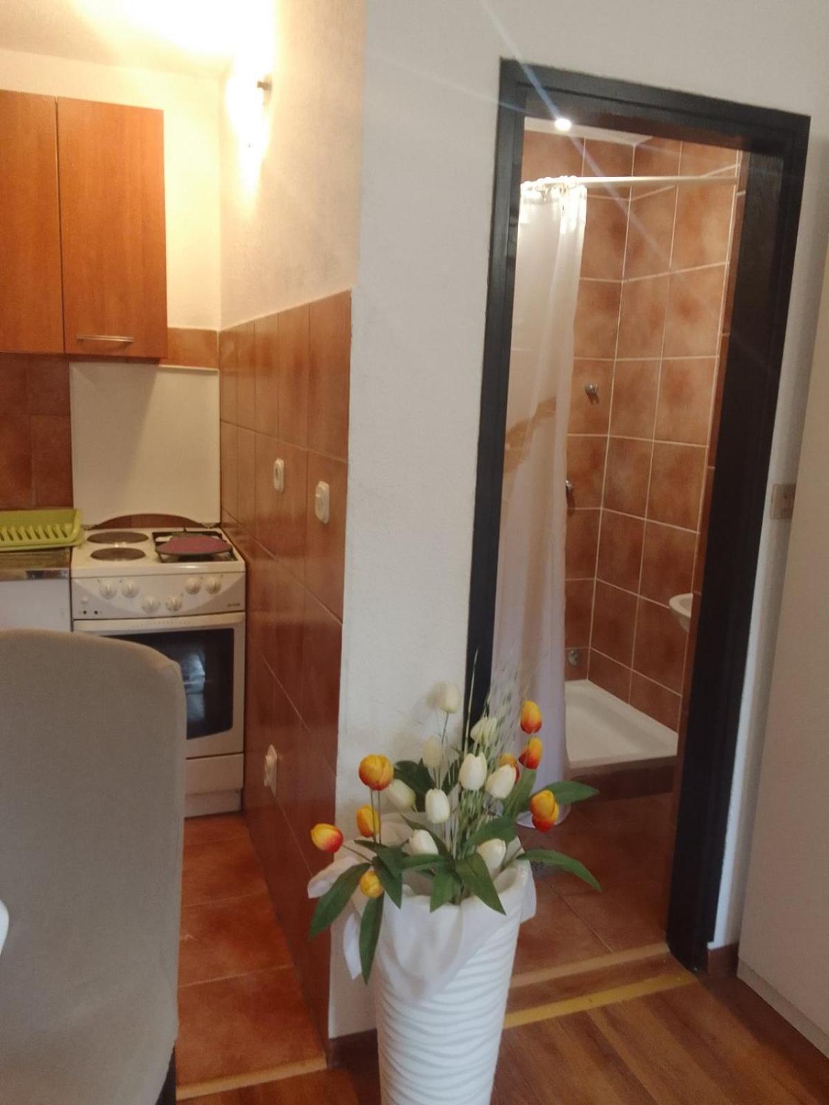 Apartament Sapienti Sat